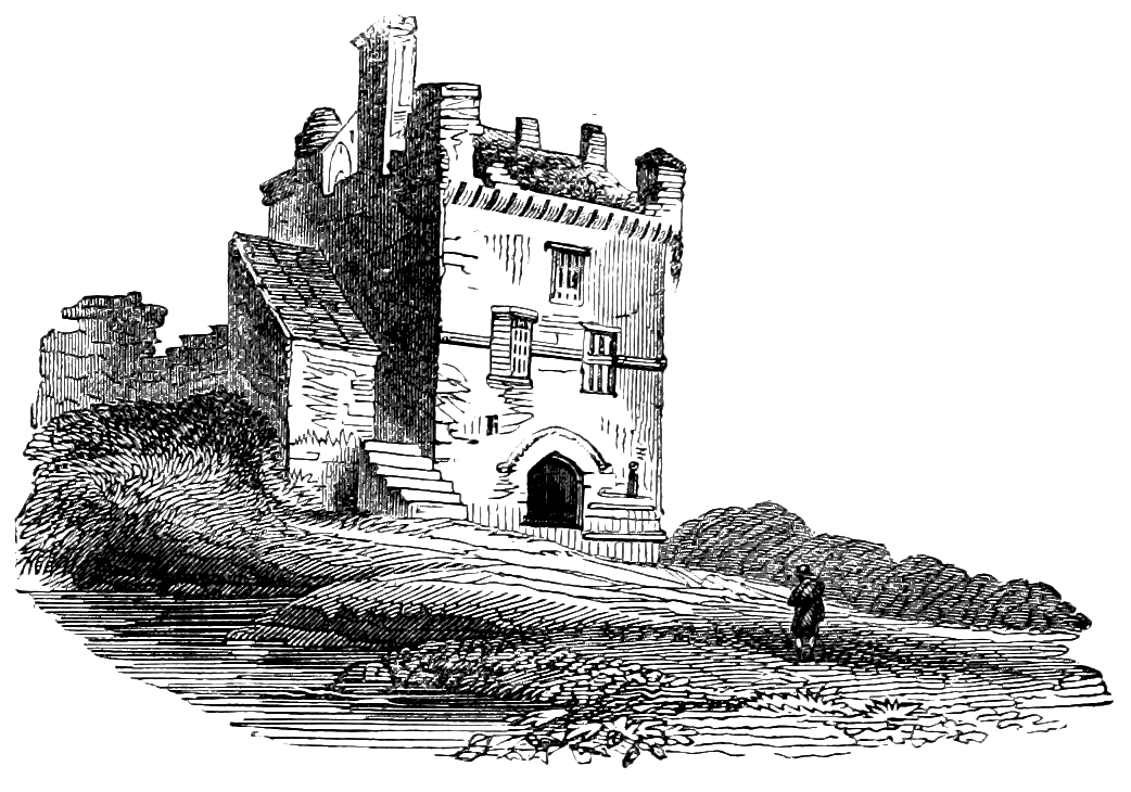 Réunion de famille élargie